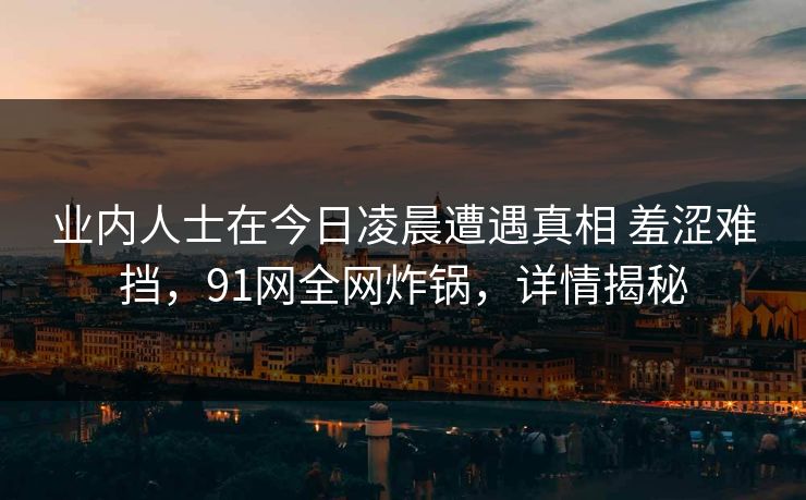 业内人士在今日凌晨遭遇真相 羞涩难挡，91网全网炸锅，详情揭秘